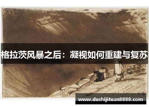 格拉茨风暴之后：凝视如何重建与复苏